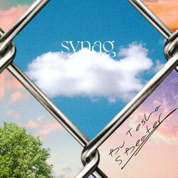Synag (feat. Bu Tesla)