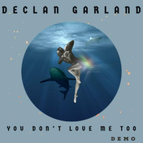 You Don't Love Me Too (Demo)