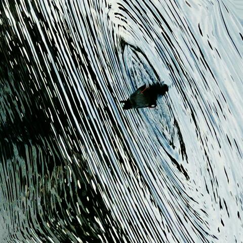 Ebb