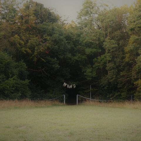 Lost Tracks from the B.A.D Woods