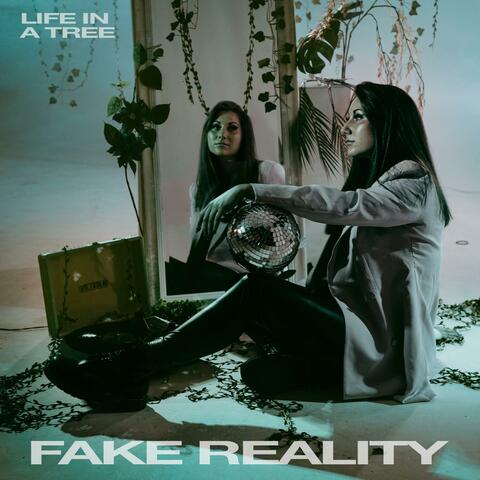 Fake Reality