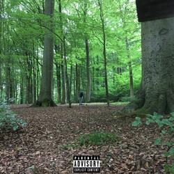 Better Future (feat. SneakyPhilip64)