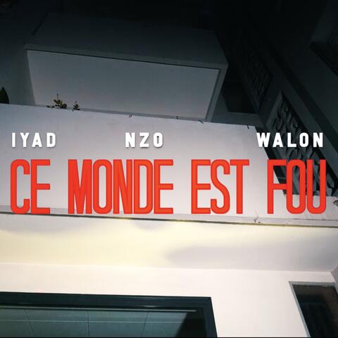Ce monde est fou (feat. Walon & NZO)
