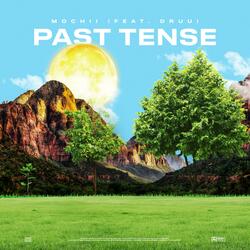 Past Tense (feat. Druu)