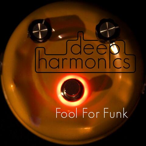 Fool For Funk
