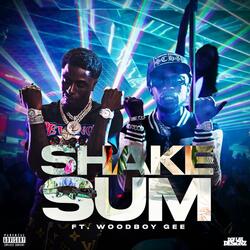 Shake Sum (feat. WoodBoy Gee)