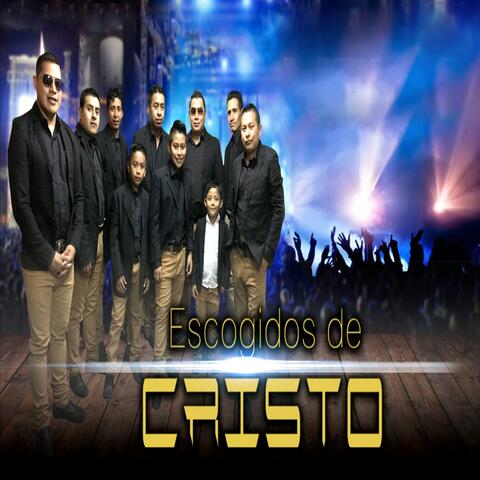 Estamos de fiesta