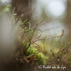 Ein Bruchteil unter der Lupe