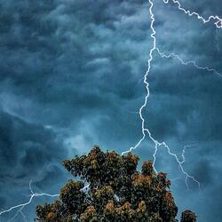 STORMM