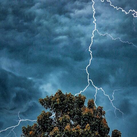 STORMM