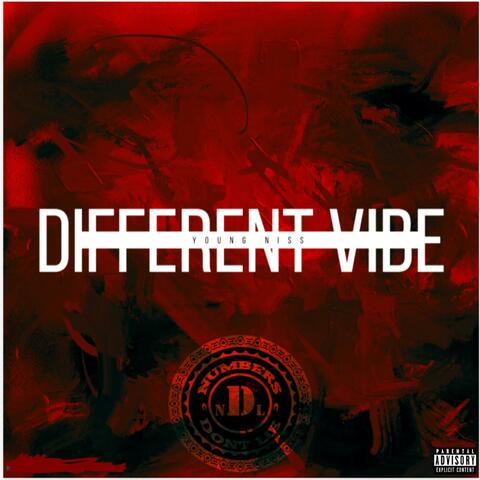 Different Vibe