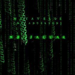 MetaVerse (Mr. Anderson)