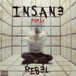 Insan3