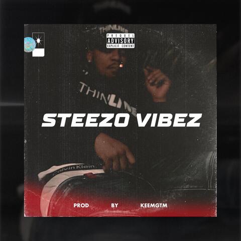 Steezo Vibez