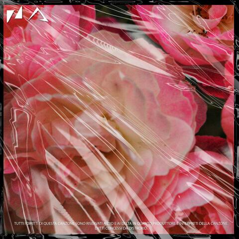 Fiori di rose (feat. DELTA)