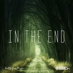 In The End (Extended Mix)