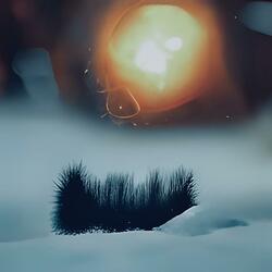 winter evening