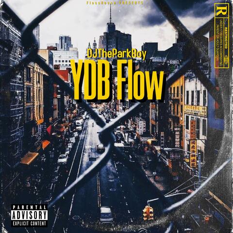 YDB Flow