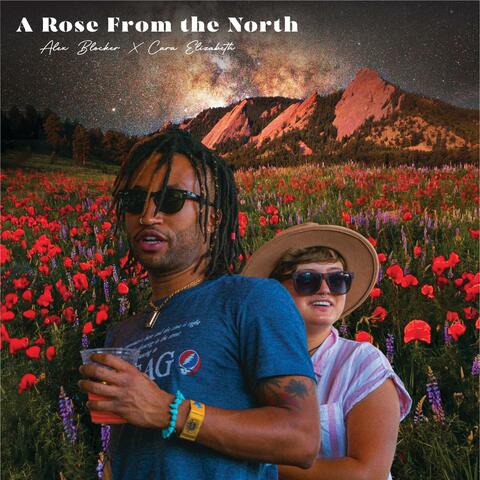 A Rose From The North (feat. Cara Elizabeth)