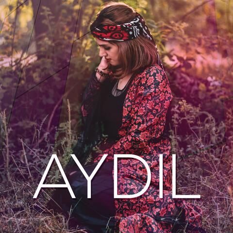 Aydil