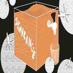 Spring Into Summer