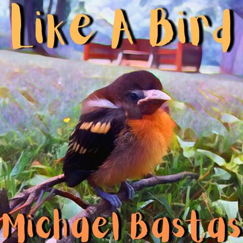 Like A Bird