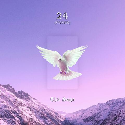 24