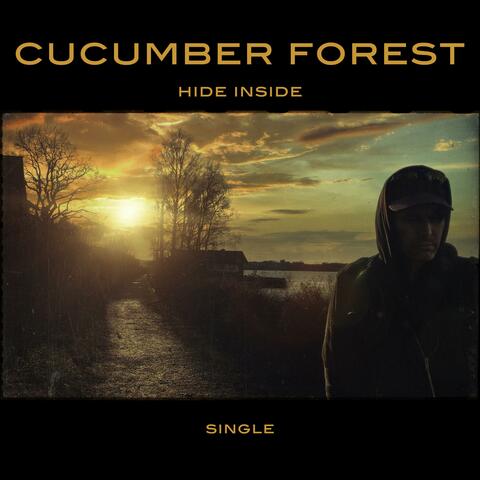 Hide Inside (feat. Dee Wolf)