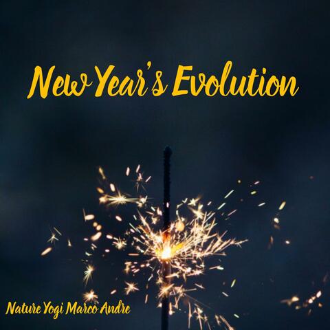 New Year's Evolution