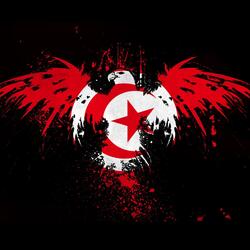 Allez les Aigles
