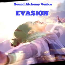 Evasion