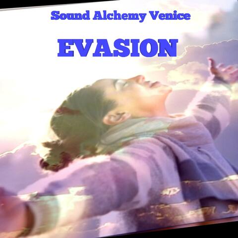 Evasion