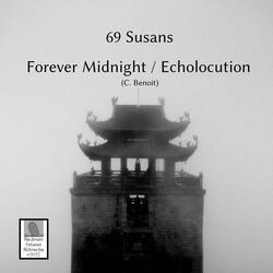 Echolocution