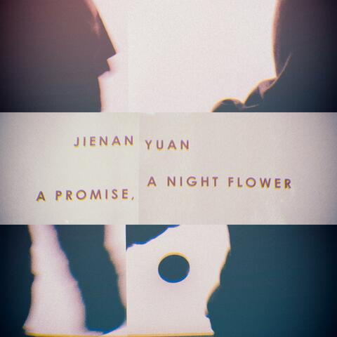 A Promise, A Night Flower