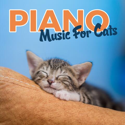 Cat Music While You're Away