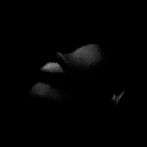 Dead of Night