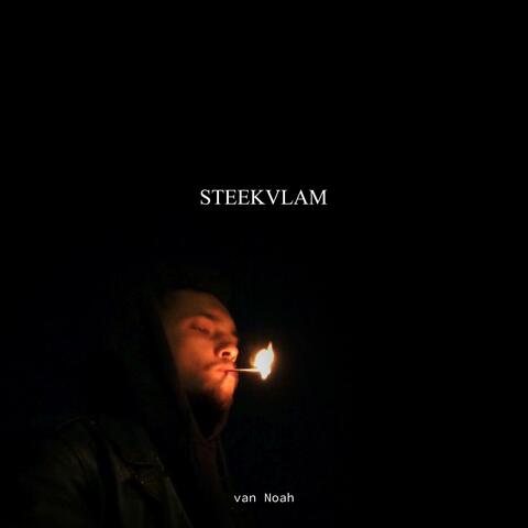 Steekvlam