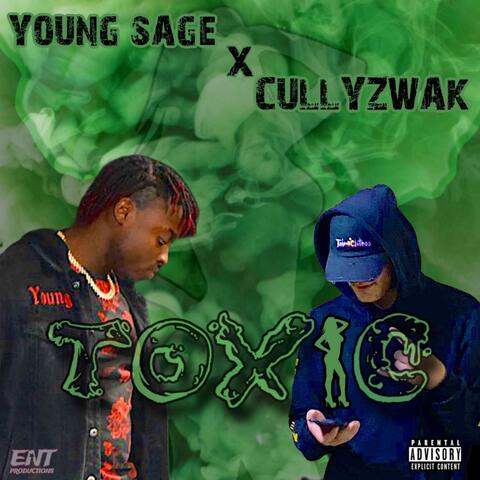 Toxic (feat. Cullyzwak)