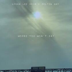 Words You Won't Say (feat. Zelton Kay)