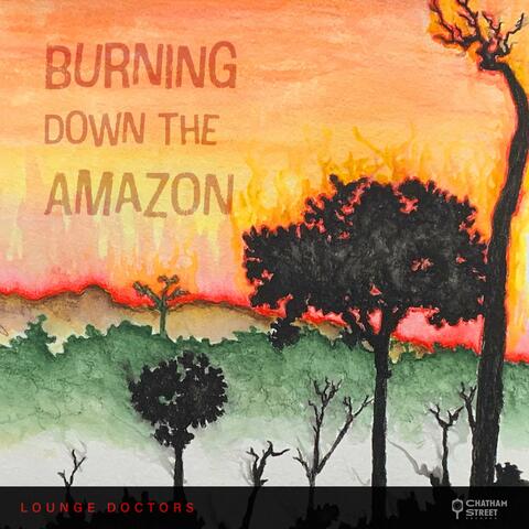 Burning Down The Amazon