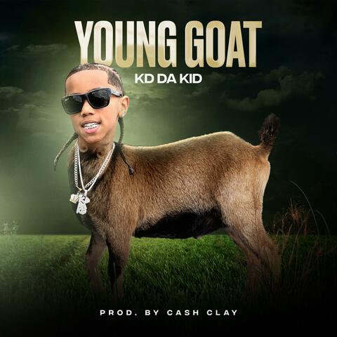 Young Goat
