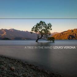 A Tree in the Wind