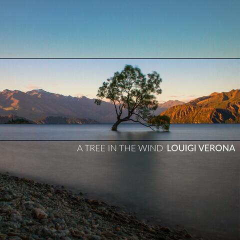 A Tree in the Wind
