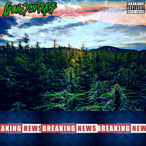 Breaking News