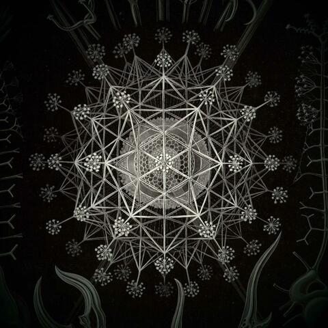 Naga Flower / Impact