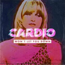 Won't Let You Down