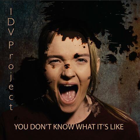 You Don't Know What It's Like
