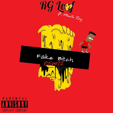 Fake Bitch (feat. Monte ray)