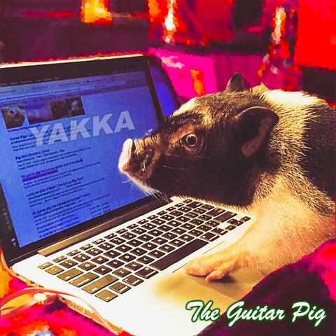 Yakka