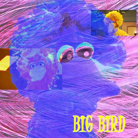 Big Bird: Tha Prelude